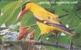 # KOREA O9210105 Black  Naped Oriol 3000 Autelca 01.92  -oiseaux,birds-  Tres Bon Etat - Corea Del Sur