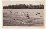 Carte Postale Saint Satur Saint Thibault La Plage 1934 - Saint-Satur