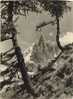 Chamonix Aiguille Du Dru Vue Du Montenvers - Carte Dentelée De 1965 - Mountaineering, Alpinism