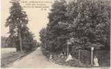 Cernay-la-Ville Cote Des Pucelles Route De Rambouillet 1910 Vintage Postcard - Cernay-la-Ville