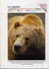 OURS--1992--Fiche Double- Le Grizzly (ours)--Photos ,moeurs,reproduction,alim Entation ,etc.... Nouvelle (jama - Animales