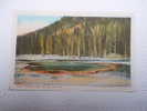 US -WY- Yellowstone Park - Emerald Pool   Ca  1910's - VF  -  D64655 - Yellowstone