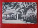 Ca 1910 King's House, Home Of Governor, Kingston Jamaica - Jamaica