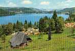 Hochschwarzwald Titisee Seehausle 846m, Terrain De Camping - St. Blasien