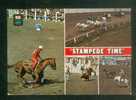 CPSM - MORRIS  Manitoba Canada - Stampede Time -  Multivues Rodéo Course Hippique Taureau Cow-boy Far-west - Paardensport