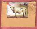 ISTRIAN OX Croatian Autochthonous Breeds (Croatie Stamp On Paper) Cattle Cow Cows Vache Vaches Kuhe Vacuno Buey Bue Boi - Mucche