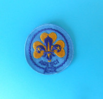 AGESCI  Associazione Guide E Scouts Cattolici Italiani - Italy Patch * Scouting Boy Scout Scoutisme Pfadfinder Scoutismo - Scoutismo