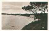 29 - MORGAT - La Plage (C.A.P., Real-Photo, N° 58) - Crozon