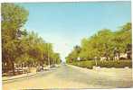 Post Card Con Macchine Cars E Persona Person ABADAN Persia - Iran