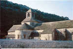 Abbaye De Sénanque - Gordes