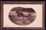 AGRICULTURE - HARVEST TIME - UNUSED REAL PHOTO C/1910 POSTCARD - Rotary Real Photo Opalette Series - Landwirtschaftl. Anbau