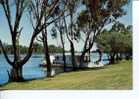 (291) - Australia, Murray River Houseboat In Renmark - "Péniche" Sur La Murray River - Péniches