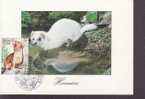 FRANCE CARTE MAXIMUM    NUM.YVERT 3384 NATURE DE FRANCE  HERMINE - 2000-2009