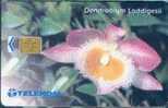 # MALAYSIA A13 Dendrobium Loddigesti 20 Gpt -flowers,fleurs-  Tres Bon Etat - Malasia