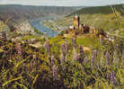 Cochem An Der Mosel - Burg Cochem Mit Blick Ins Moseltal - Cochem