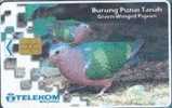 # MALAYSIA A8 Green Winged Pigeon 5 Gpt -oiseaux,birds-  Tres Bon Etat - Malaysia