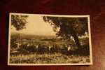 TLEMCEN  MANSOURAH  RUINES   CARTE POSTALE D' ALGERIE EN EX COLONIE  FRANCAISE - Tlemcen