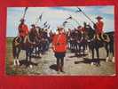 Royal Canadian Mounted Police Musical Ride - Police - Gendarmerie