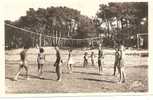 17 - RONCE-les-BAINS -lot De 3cartes CPSM - Jeux De  Plage-Promenade àLa Cèpe(cheval) -bronzette - La Tremblade