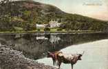 Trossachs - Peeblesshire