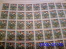 REPUBBLICA ITALIANA - ITALY - ANNO 1995 - PRO ALLUVIONATI  3 VARIETA' -  FOGLIO INTERO ** MNH - Full Sheets