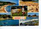 (385) Jersey Cow + Lighthouse - Stiere