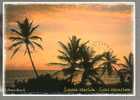 Jolie CP Antilles Guadeloupe Saint Martin Dawn Beach Coucher De Soleil - CAD St Martin 12-02-2005 - Saint Martin