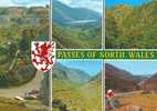 Britain United Kingdom - Passes Of North Wales Postcard [P861] - Andere & Zonder Classificatie