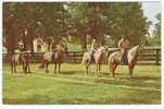 - USA. -  KENTUCKY STATE HORSE PARK.  -  Cpsm - Scan - - Autres & Non Classés