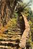 CP De THUEYTS " L'échelle De La Reine , Escalier De Basalte " . - Largentiere