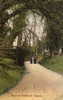 Badworth.   ROAD TO Badworth  Church.  EDIT  Printed IN  England   CPA  Année 1912 - Other & Unclassified