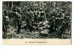 CONGO OUESSO DEPECAGE D´UN ELEPHANT Nord Congo - Other & Unclassified