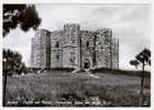 ANDRIA, CASTEL DEL MONTE, B/N   **** - Andria