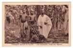 Compagnie Agricole De GUINEE - Une Bananeraie , Coupe Des Régimes - French Guinea