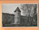 H975 Murten Morat Schutzwehr, Les Remparts, Ruine.Perrochet 845 - Murten