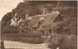 3626 - OLD MAIDS'COTTAGE,LEE, ILFRACOMBE - Ilfracombe