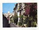 Cp, 06, Antibes, La Rue Du Haut Castelet : Accès Fleuri Au Coeur De La Vieille Ville, écrite - Antibes - Oude Stad