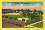 Waterfront Park, Spring Training Quarters Of The St. Louis Cardinals. - Tampa