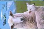 # NEW_ZEALAND NZ22S_1 Farm Animals - Coopworth Sheep 5 Gpt 01.94  Tres Bon Etat - New Zealand