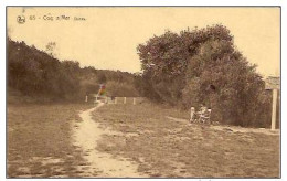 DE HAAN-LE COQ-PLANTATIONS DANS LES DUNES PAR LES PONTS ET CHAUSSEES - De Haan