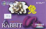 LAPIN Rabbit KONIJN Kaninchen Conejo (719) Zodiaque Zodiac Horoscope - Lapins