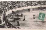 LA COURSE ESPAGNOLE 1947 PASSO DE MULETA    1913 - Stiere