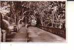 Isle Of Wight ; Chine Avenue, Shanklin, I.O.W - Other & Unclassified