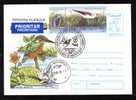BIRDS - ALCEDO ATTHIS - ,1X ENTIER POSTAUX,COVER STATIONERY 1996,stamp Obliteration Concordante,ROMANIA. - Palmípedos Marinos