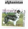 Timbre  D´afghanistan - Afghanistan