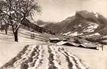 GSTAAD. OLDENHORN U. STALDENFLÜHE. - Gstaad