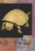 Australia- 1997 Wildlife Of Ancient Australia,45c Horned Turtle   Maximum Card - Fósiles