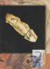 Australia- 1997 Wildlife Of Ancient Australia,45c Marine Reptile  Maximum Card - Fossils