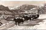 GSTAAD. PFERDESCHLITTEN DES PALACE-HOTEL. - Gstaad