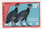 Congo - Tacchini - Gallinaceans & Pheasants